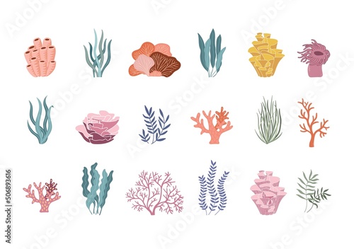 Fotografiet Trendy coral reef and plants vector set
