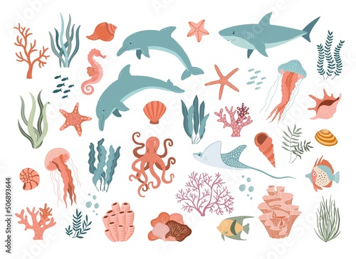 Set with hand drawn sea animals and plants vector illustration.  Fish  jellyfish  dolphins  shark  shells  seaweed and corals.  Beautiful underwater world in cartoon style.  Diving center.