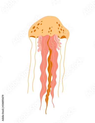 Jellyfish in flat style isolated on white background. Cartoon marine animal vector illustration