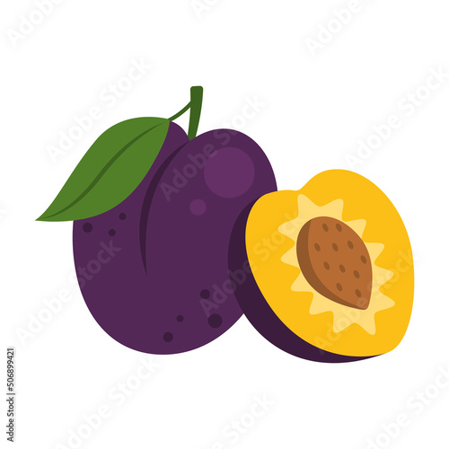 Purple plum (Prunus) whole fruit and half sliced icon isolated on white background. Vector illustration of stone fruit family in flat style.
