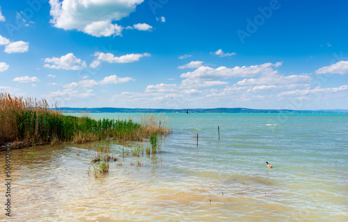 Beautiful summer lake landscape with turquoise water.