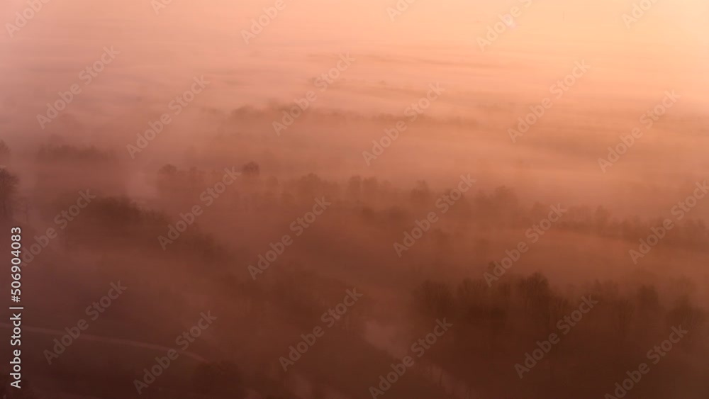 Golden orange sunset glow on misty forest with silhouette of dark treetops Golden orange sunset glow on misty forest with silhouette of dark treetops