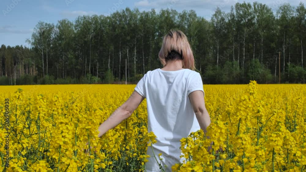 Woman was walking in a rape field. A girl in a rape field. The farmer grows oilseed rape Woman was walking in a rape field. A girl in a rape field. The farmer grows oilseed rape