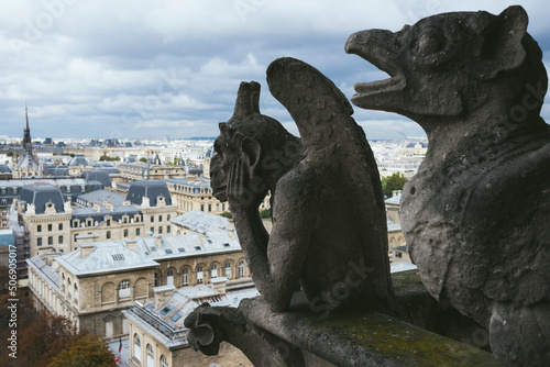 Gargoyle or chimera of Notre Dame de Paris over the city in a cloudy day