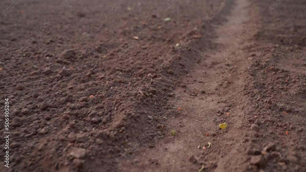 The movement of the camera along the trodden path in the garden. Neat beds in the home garden in early spring. Empty vegetable garden The movement of the camera along the trodden path in the garden. Neat beds in the home garden in early spring. Empty vegetable garden
