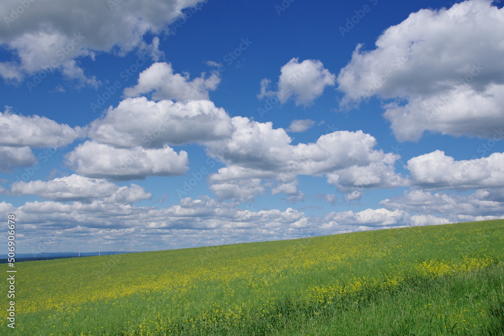 Landschaft Rheingau Taunus