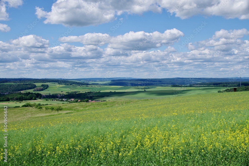 Fototapeta premium Landschaft Rheingau Taunus