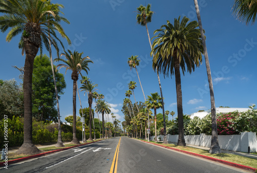 Street with palms in Beverly Hills, Los Angeles, California, USA