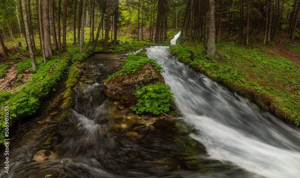 Stream in the spring forest is full of water after the heavy rain Stream in the spring forest is full of water after the heavy rain
