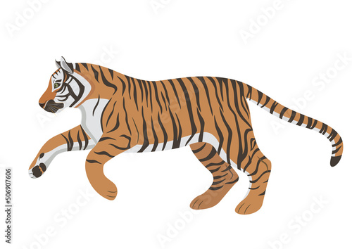 big wild jumping tiger on the hunt