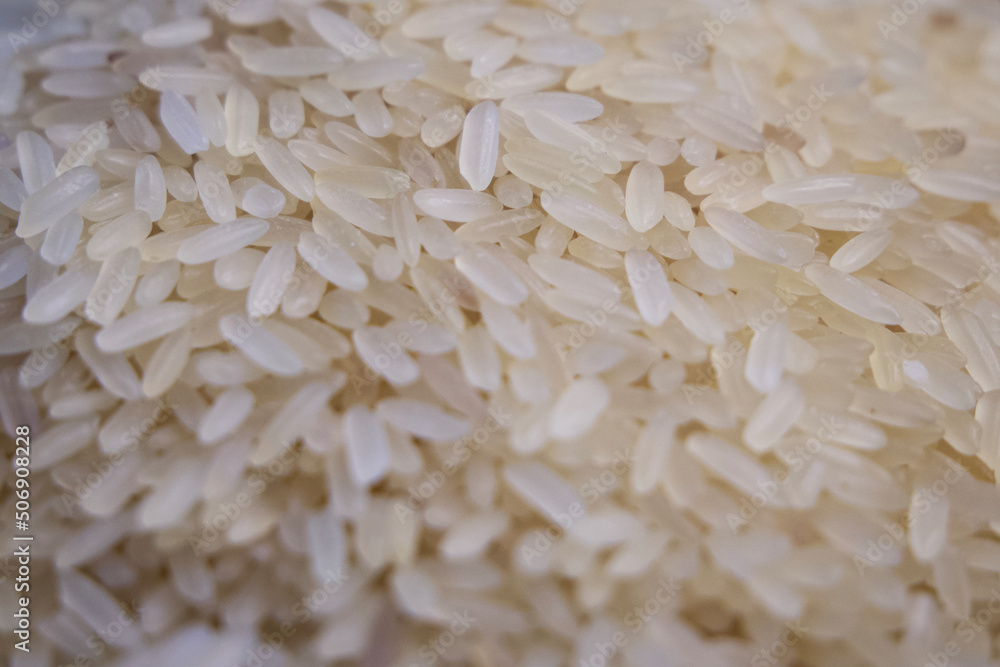 Rice grains, close-up shot. A scattering of rice as a background. Rice grains, close-up shot. A scattering of rice as a background.