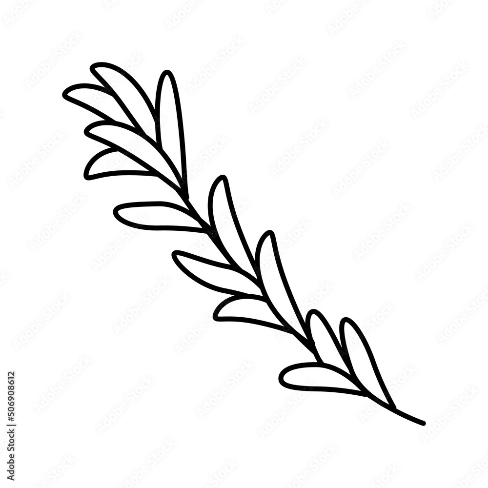 rosemary branch line icon vector illustration