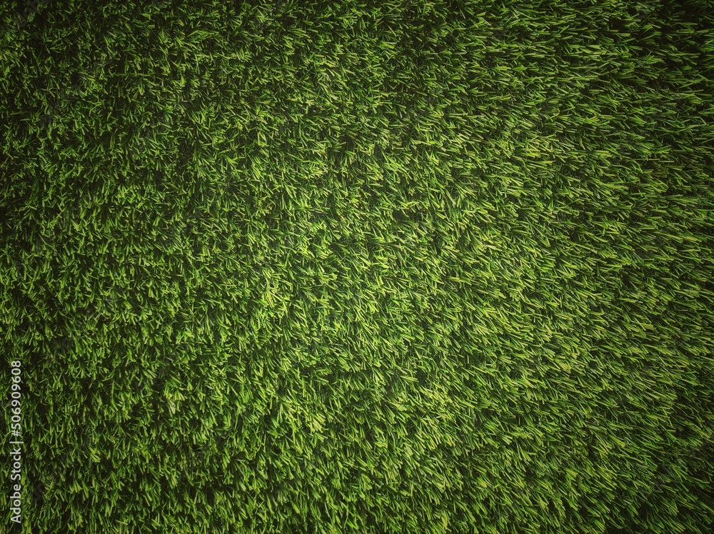 Fototapeta premium Background and texture of Beautiful green grass pattern from golf course.high angle view of green grass background.green grass texture.Background of a green grass. Texture green lawn.