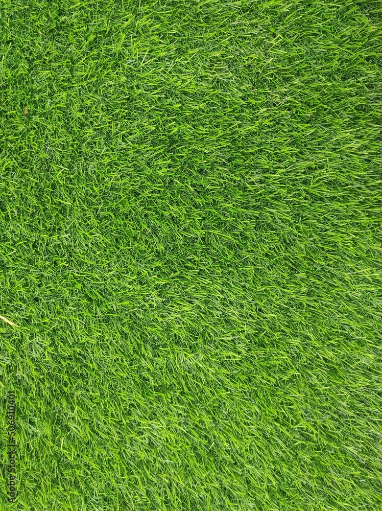 Top view of green artificial grass texture and background. Artificial ...