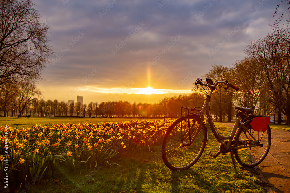 Traveling around Rotterdam on a rental bike, relaxing sunset at the park