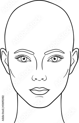 Female head front view ector illustration, bald woman head anatomy line art
