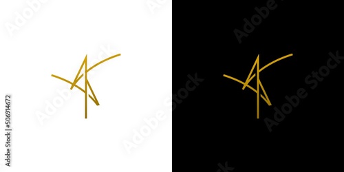 unique and luxury AA letter initials logo design