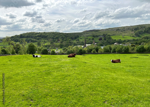 Rural landscape, with cattle, an old mill chimney, and distant hills, on a cloudy day in, Langcliffe, Settle, UK