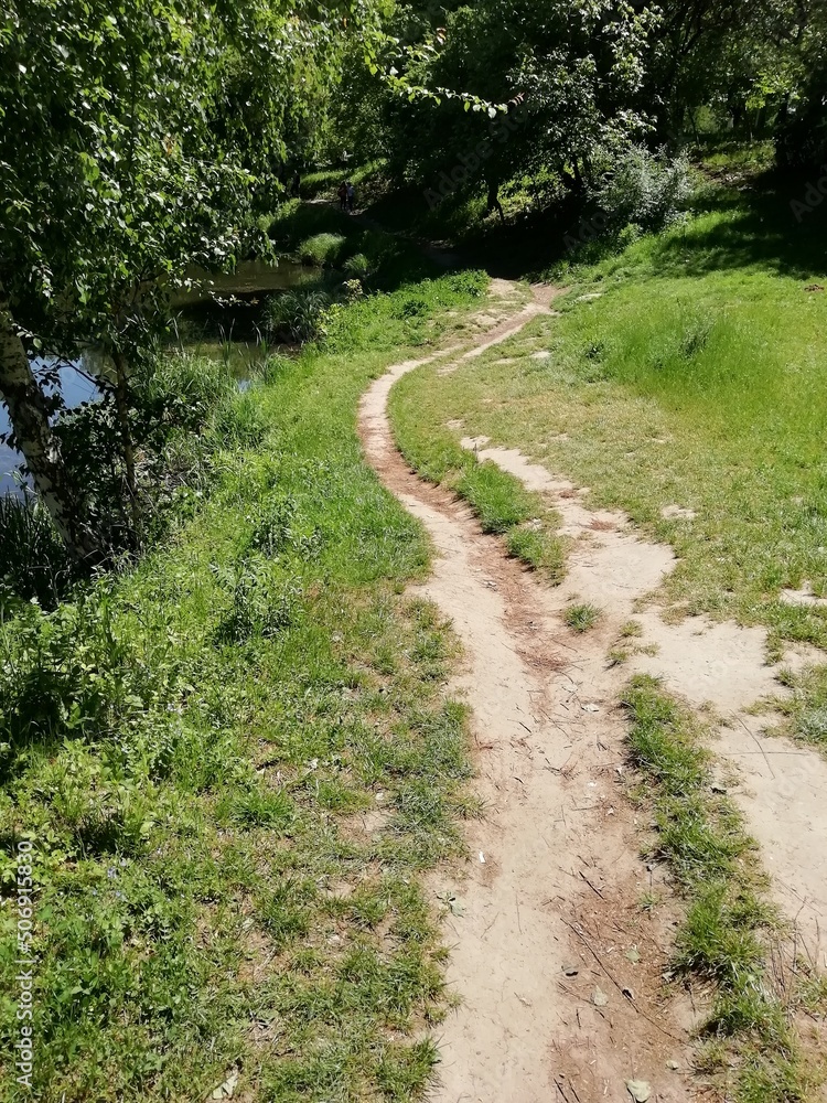 path in the woods, walking in the park path in the woods, walking in the park