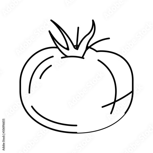 tomato vitamin vegetable line icon vector illustration