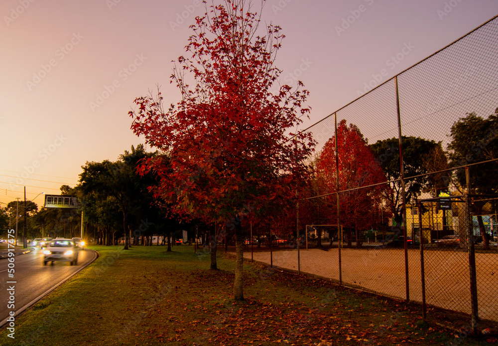 sunset in the city park in an autumn environment