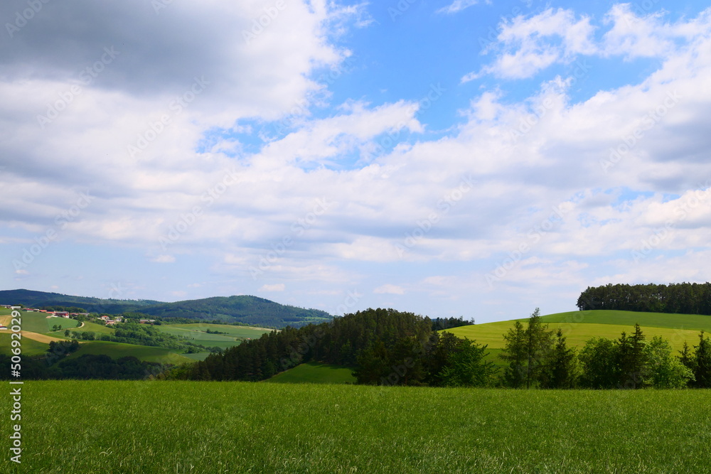 Wiesen und Felder in der buckligen Welt Wiesen und Felder in der buckligen Welt