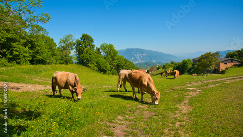 Landschaft bei Ontex in Savoie in Frankreich