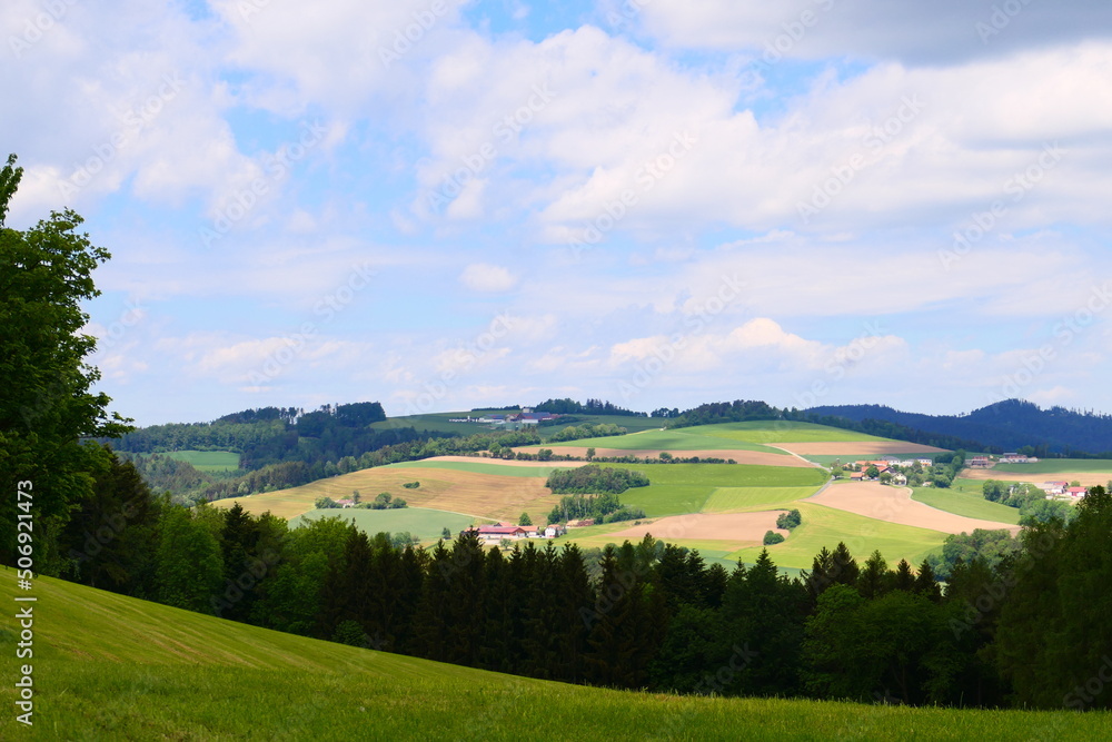 Landwirtschaft in Niederösterreich 