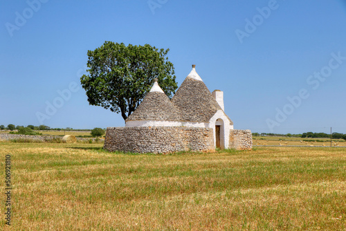 Beautiful trullo, typical Apulian traditional dry stone conical construction, with tree in the countryside of Apulia, Italy. Southern Italy landscape, Puglia landscape photo