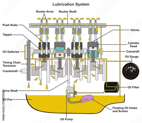 Automobile car engine lubrication system infographic diagram mechanic dynamics engineering physics science education structure parts oil filter gauge pump pan valve drive shaft vector chart
