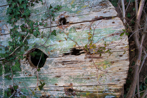 Rueda de carro antigua de madera