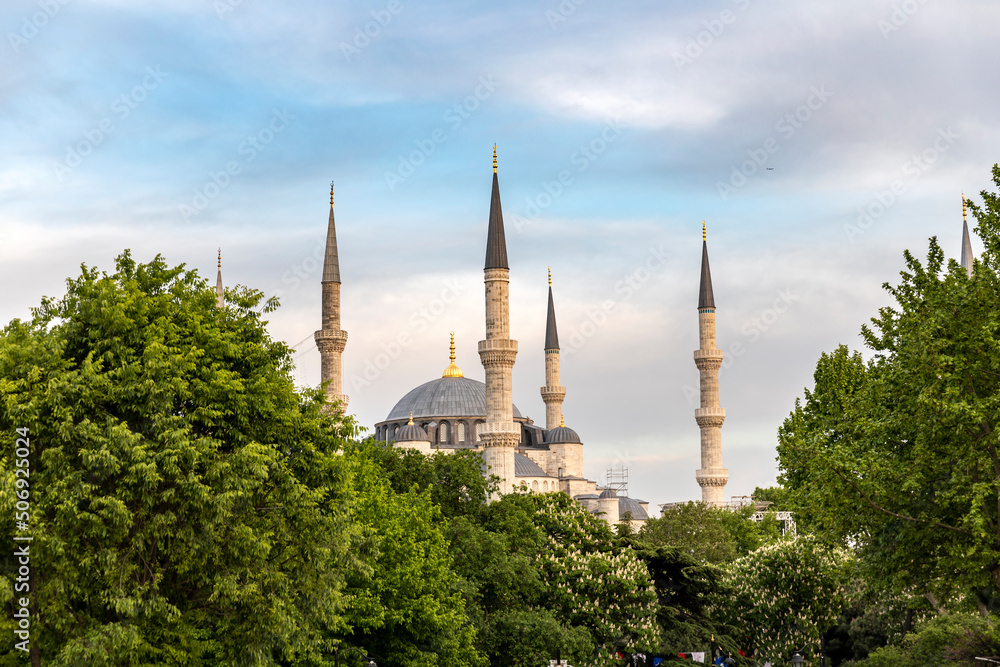 Blue mosque. Istambul
