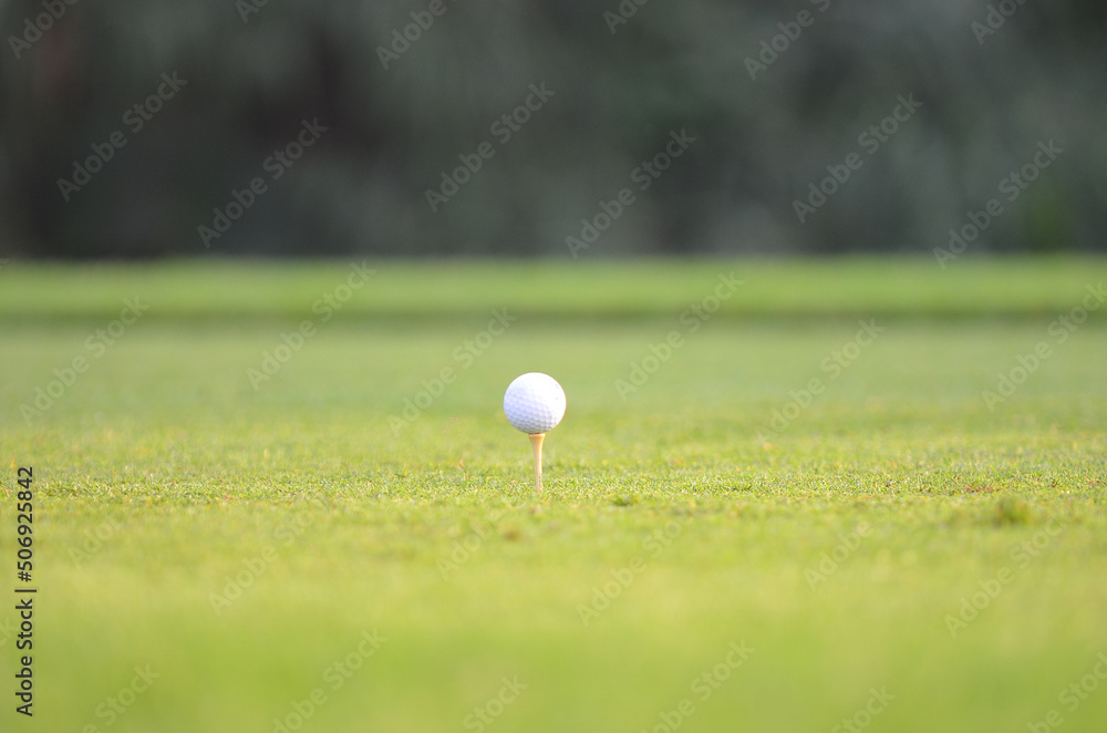 Ball on the tee with blurry green background. Ball on the tee with blurry green background.