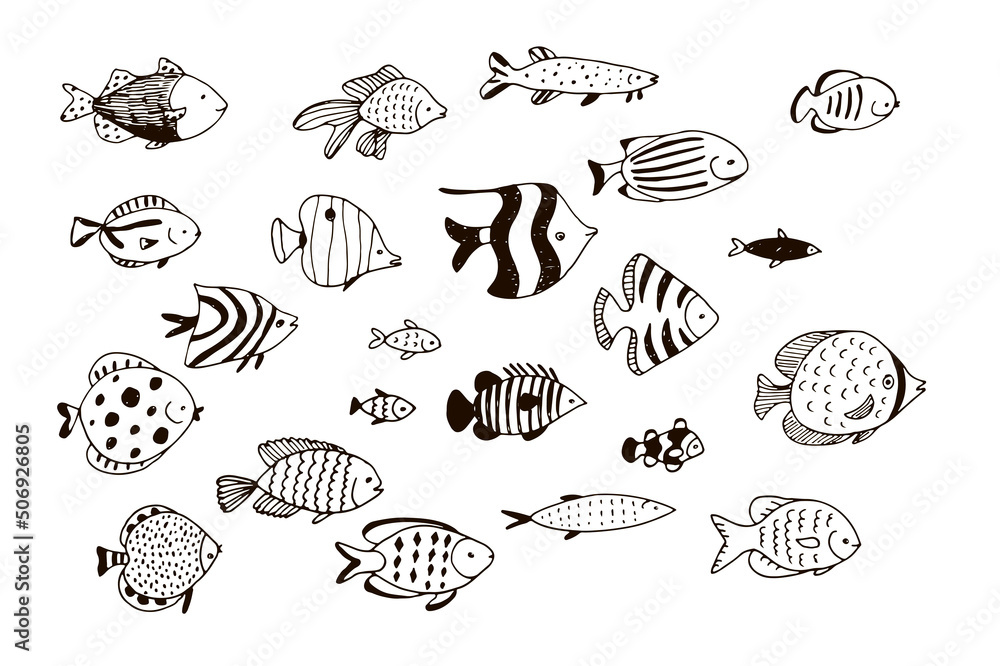 Tropical fish vector line illustrations set