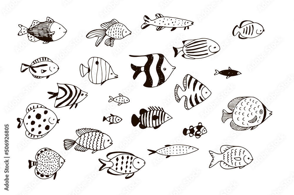 Tropical fish vector line illustrations set Tropical fish vector line illustrations set