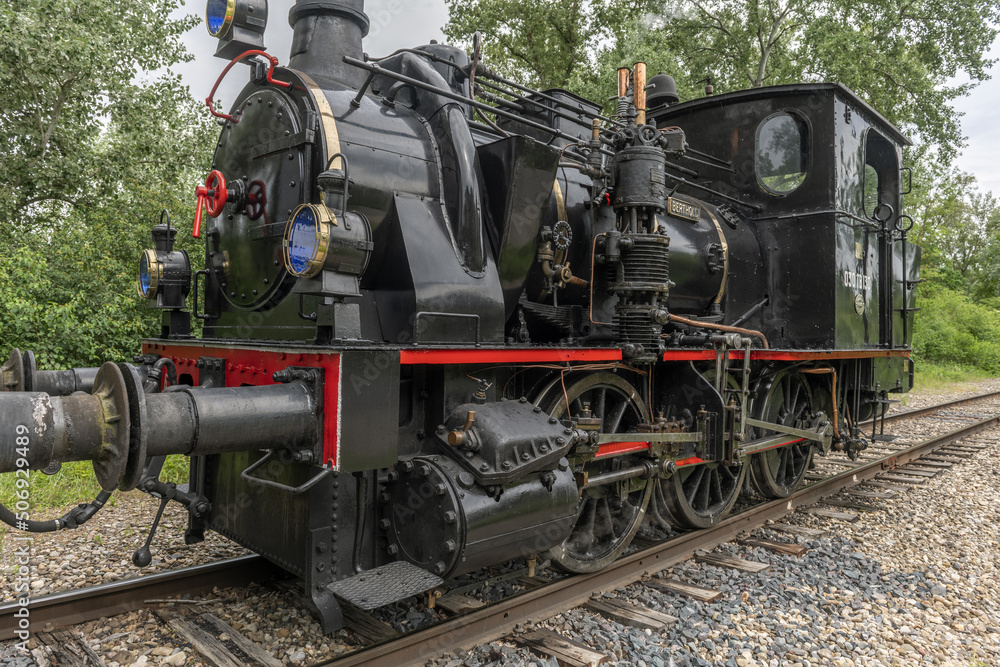 Fototapeta premium Steam locomotive of Rhine Tourist Railway in spring.