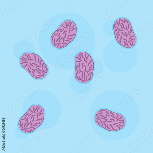 Monkeypox virus genus rash spots body skin Scabs zoonoses sick Transmission outbreak rats mice life cycle