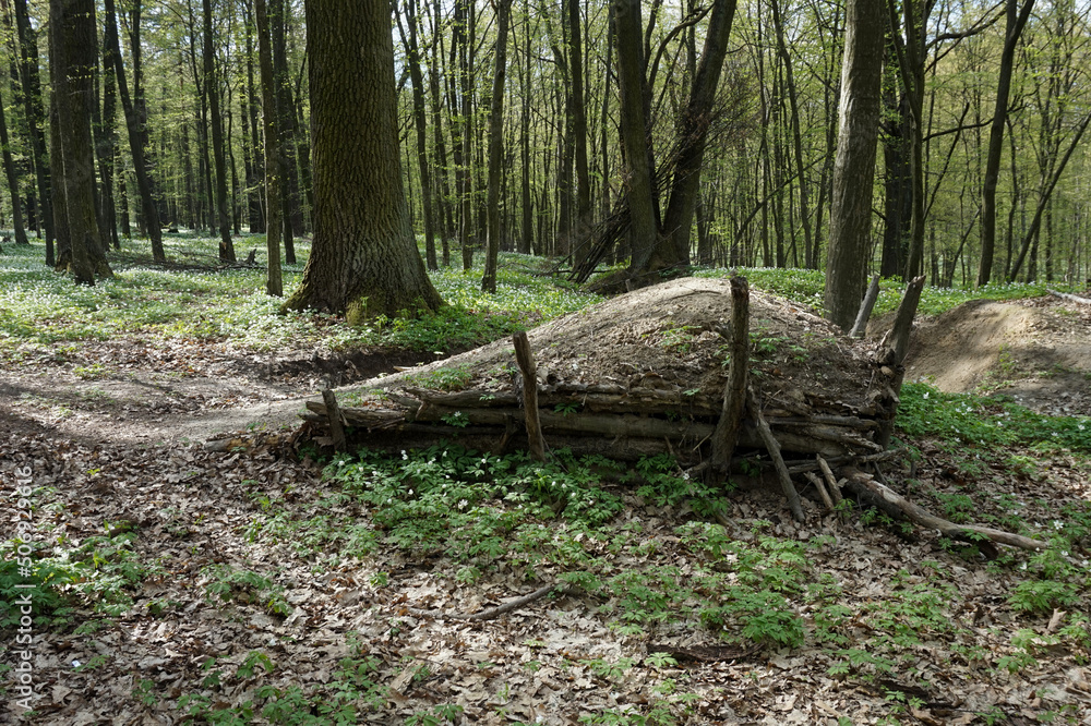 Deciduous forest in spring in Ukraine. Deciduous forest in spring in Ukraine.
