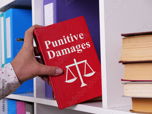 Punitive Damages are shown using the text photo