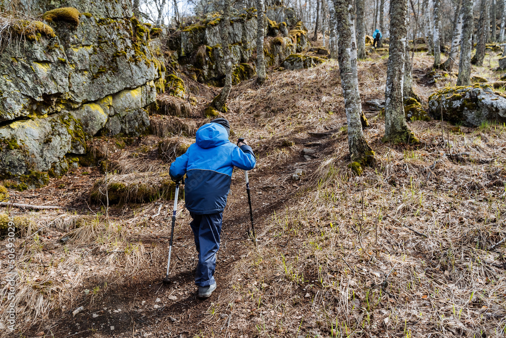 A little boy confidently climbs a mountain with trekking poles, a teenager on a hike, a children's tourist camp, a training camp in the forest, a family hike in the mountains.