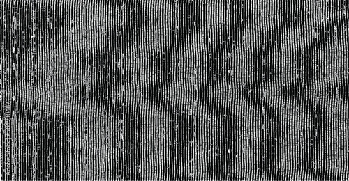 Vector fabric texture. Distressed texture of weaving fabric. Grunge background. Abstract halftone vector illustration. Overlay to create interesting effect and depth. Black isolated on white. EPS10.