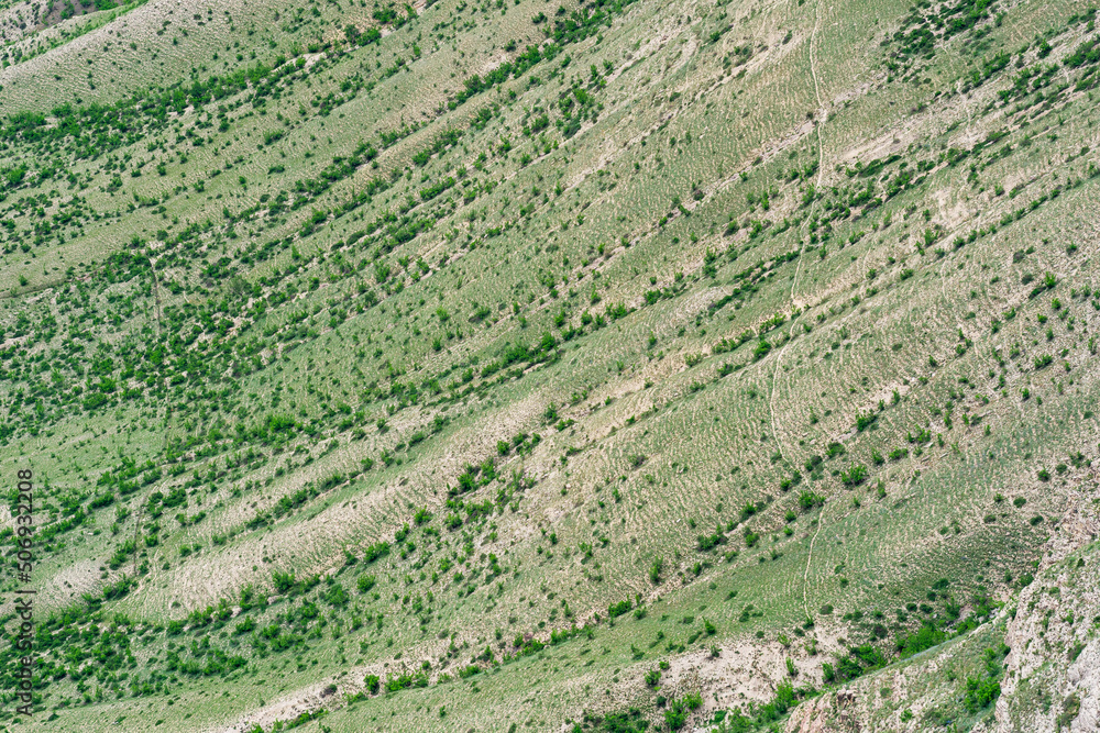 landscape of a grassy mountain slope covered with paths trodden by cattle landscape of a grassy mountain slope covered with paths trodden by cattle