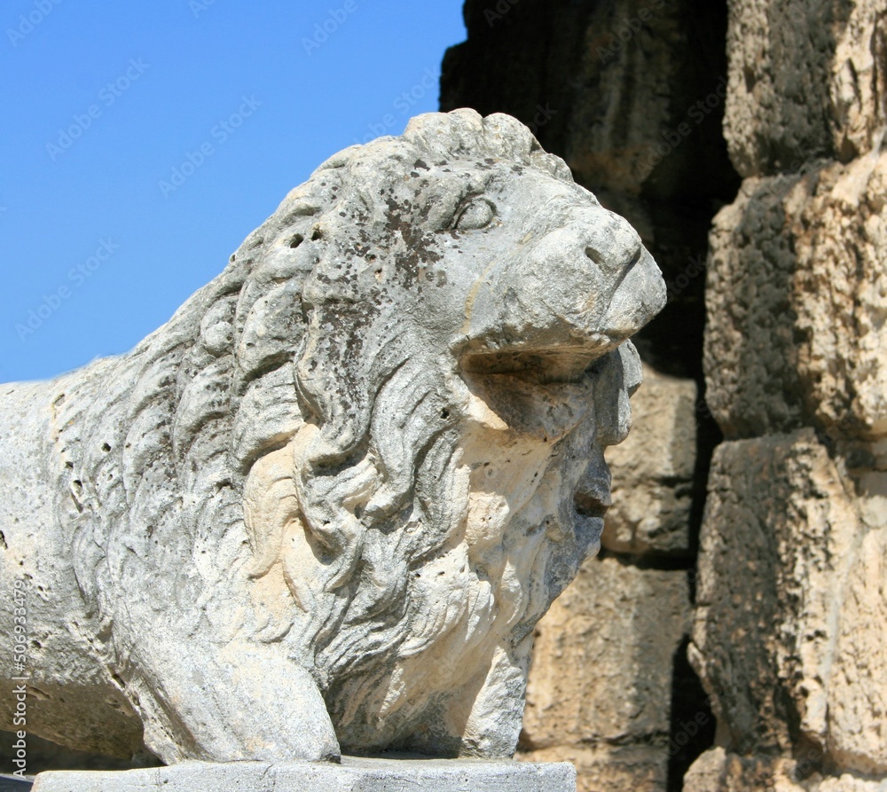 lion in the Roman Arena Pula, Croatia