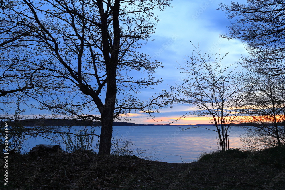 Dark tree branches silhouettes during sunset. At the Swedish lake Mälaren or Malaren, Stockholm, Sweden. Dark tree branches silhouettes during sunset. At the Swedish lake Mälaren or Malaren, Stockholm, Sweden.