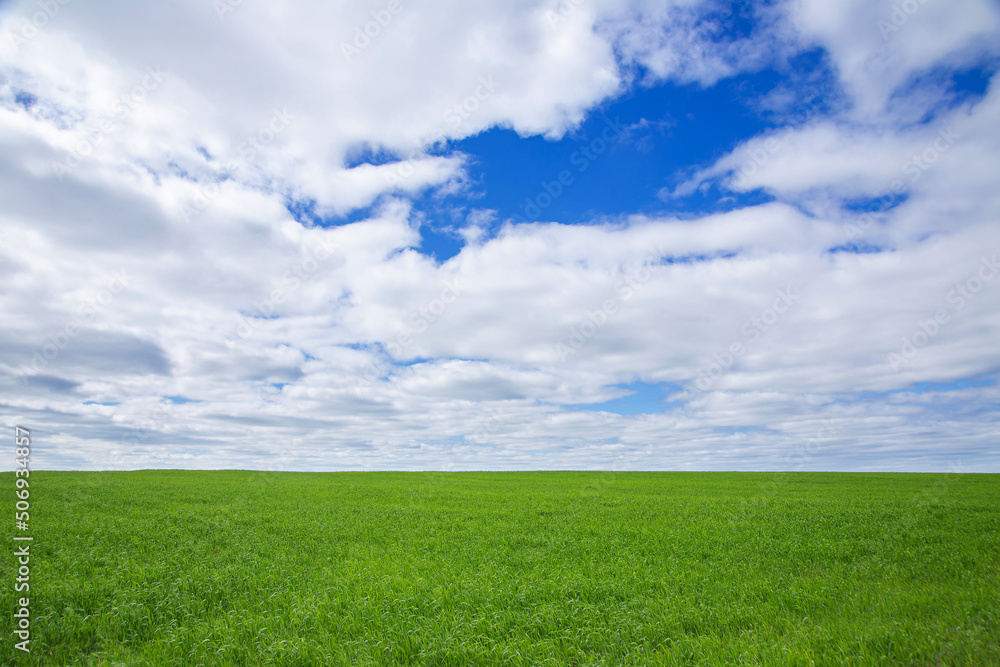 summer landscape, field with green grass and horizon, textured sunset sky, sun