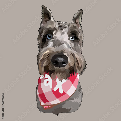 portrait of a dog with eyes