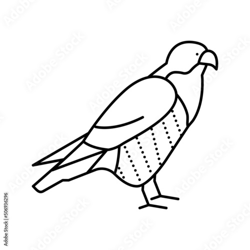 falcon bird line icon vector illustration