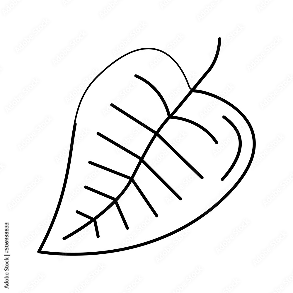 plant leaf line icon vector illustration plant leaf line icon vector illustration