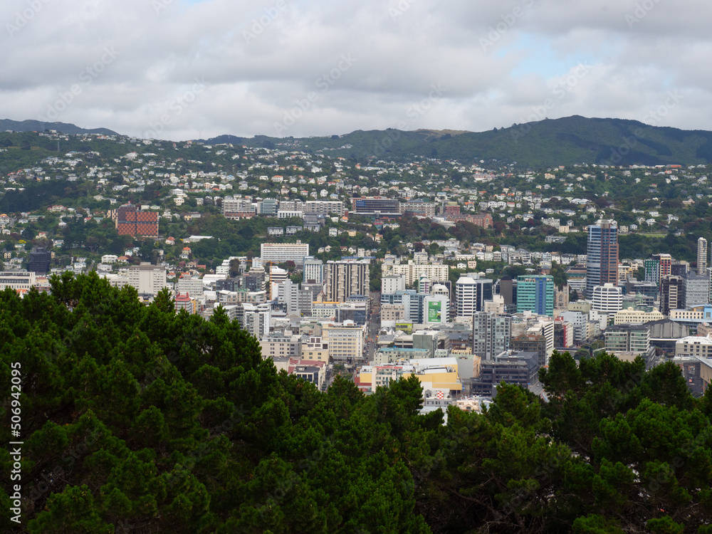 Wellington City From Mount Victoria Lookout
