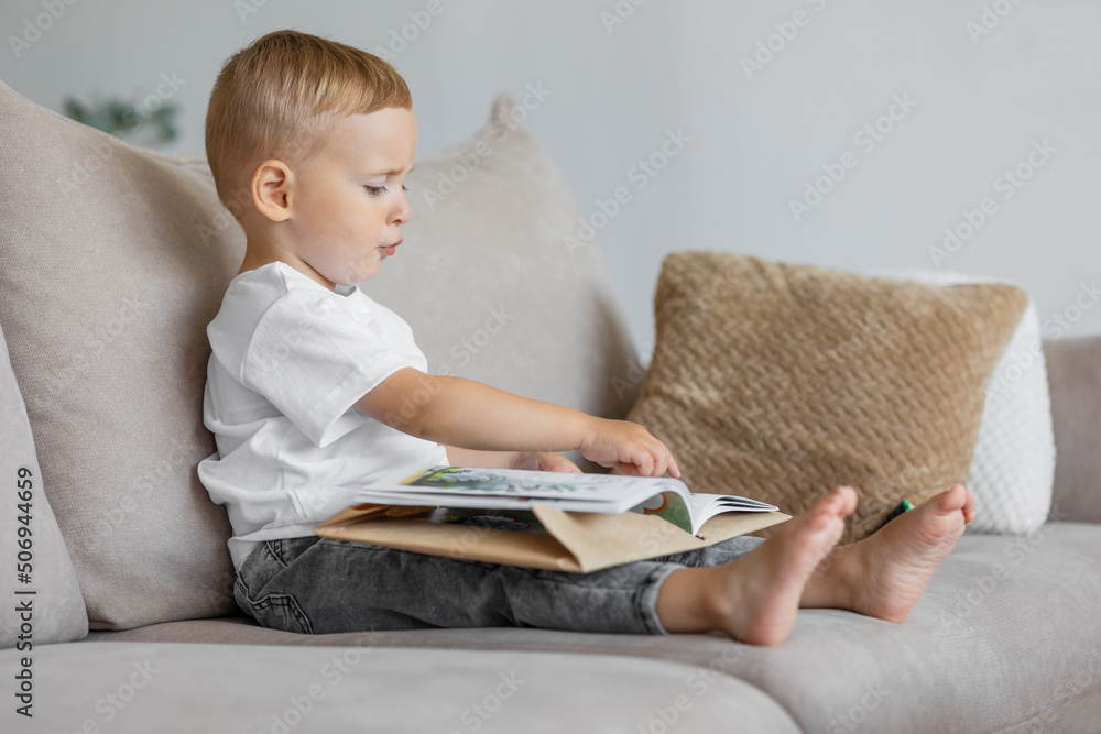 little boy is playing and reading a book at home on the sofa in the living room. a European child alone learns the alphabet and reads fairy tales. earlier development of the child at school or at home little boy is playing and reading a book at home on the sofa in the living room. a European child alone learns the alphabet and reads fairy tales. earlier development of the child at school or at home